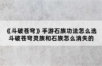 《斗破苍穹》手游石族功法怎么选 斗破苍穹灵族和石族怎么消失的